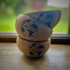 Coconut Bowls