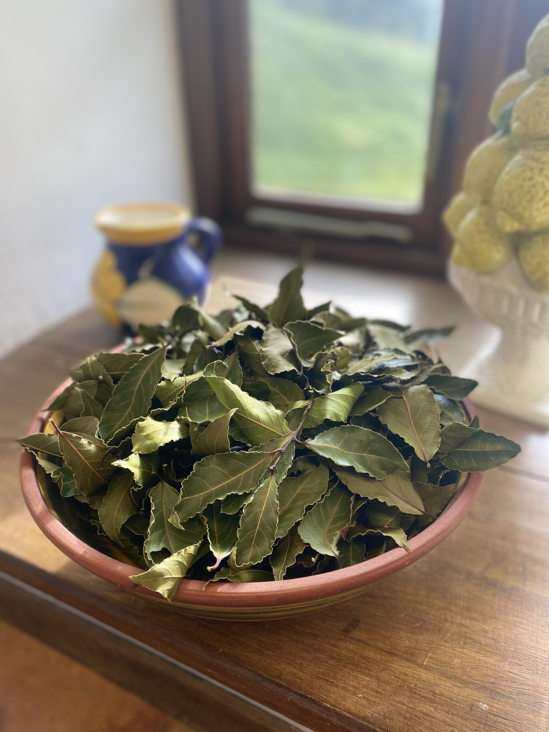 dried bay leaves