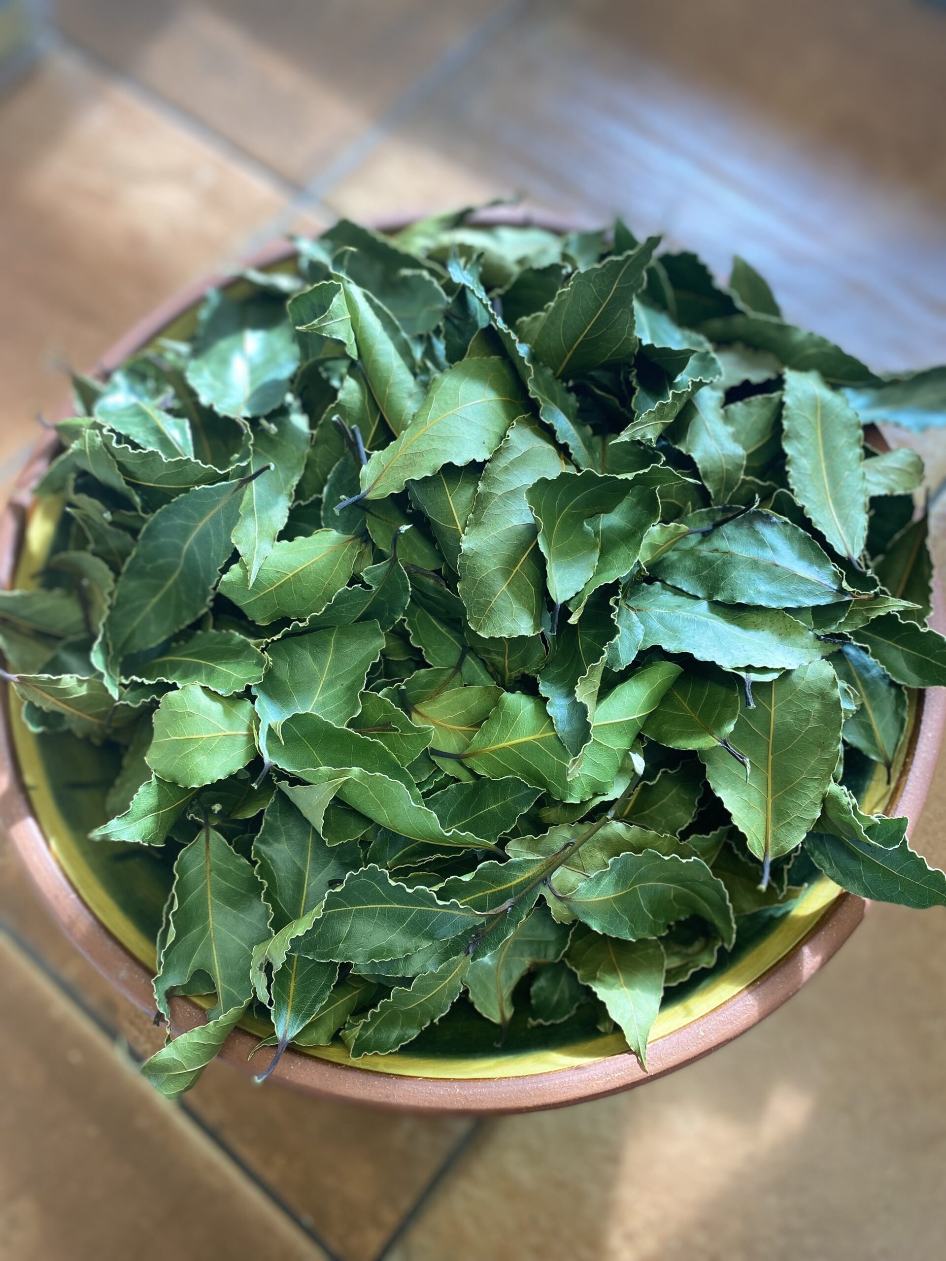 dried bay leaves
