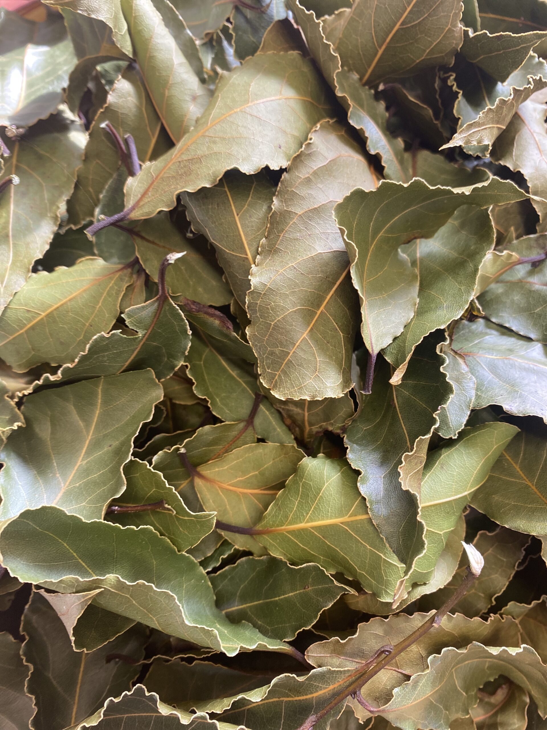 Dried Bay Leaves - Image 3