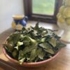 dried bay leaves