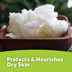 Refined Shea Butter
