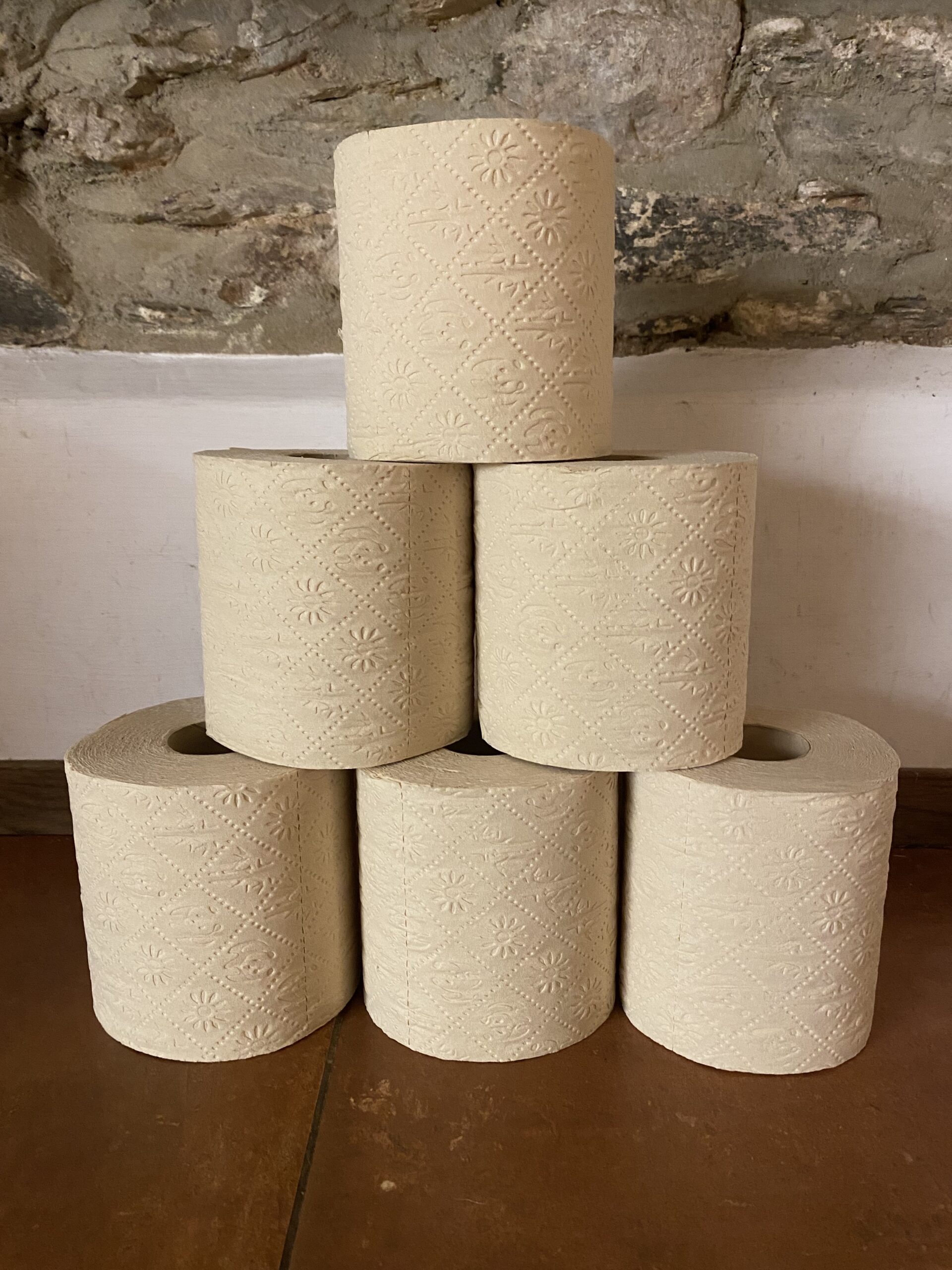 Bamboo Toilet Paper - 6 Pack - Image 4