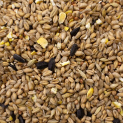 Wild Bird Seed Mix - 900g
