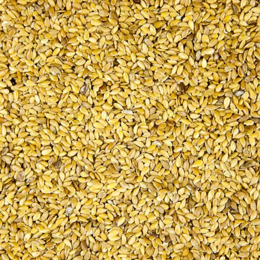 Organic Golden Linseed