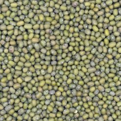 organic mung beans