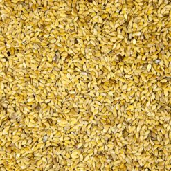 Organic Golden Linseed